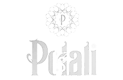 polali-travels-logo